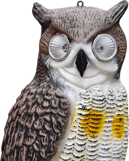 Installation facile – à suspendre ou à poser