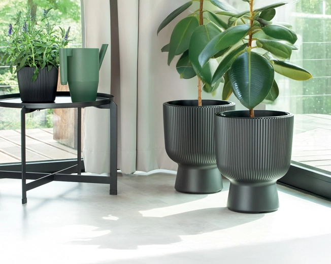 Insert amovible pour économiser substrat et temps