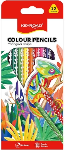 Crayons de couleur KEYROAD triangulaires 12 couleurs