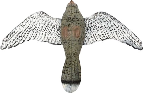 Imitation réaliste d’un rapace