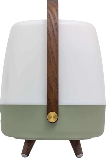 Design scandinave et détails naturels