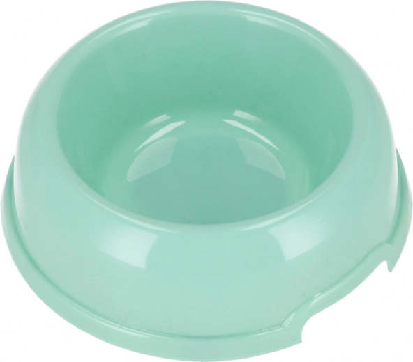 Bol pour animaux de compagnie couleur menthe