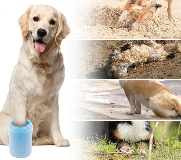 Voiture et sols propres après chaque promenade