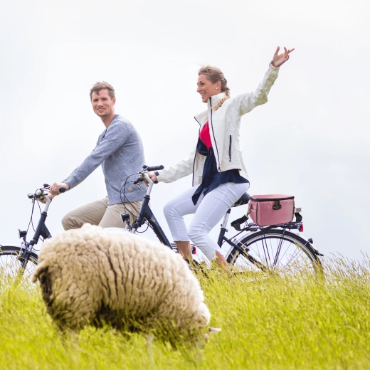 Fixation rapide au vélo