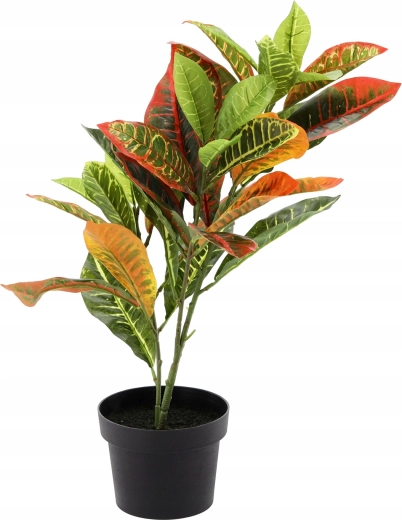 Zéro entretien, maximum d’effet