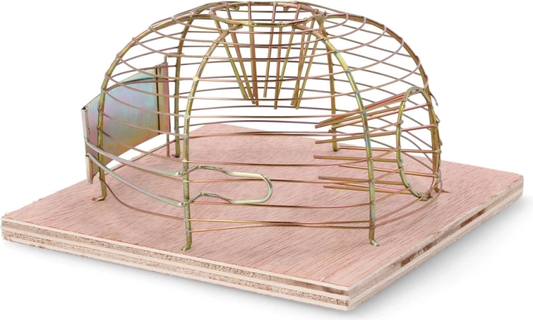 Capture humaine et sûre