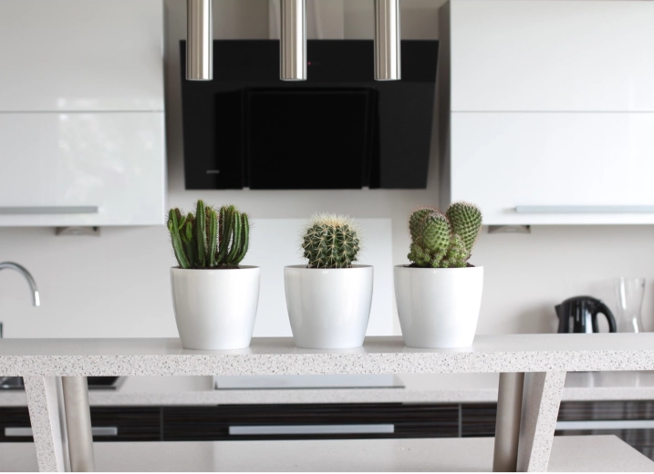 Accessoire minimaliste pour un intérieur moderne