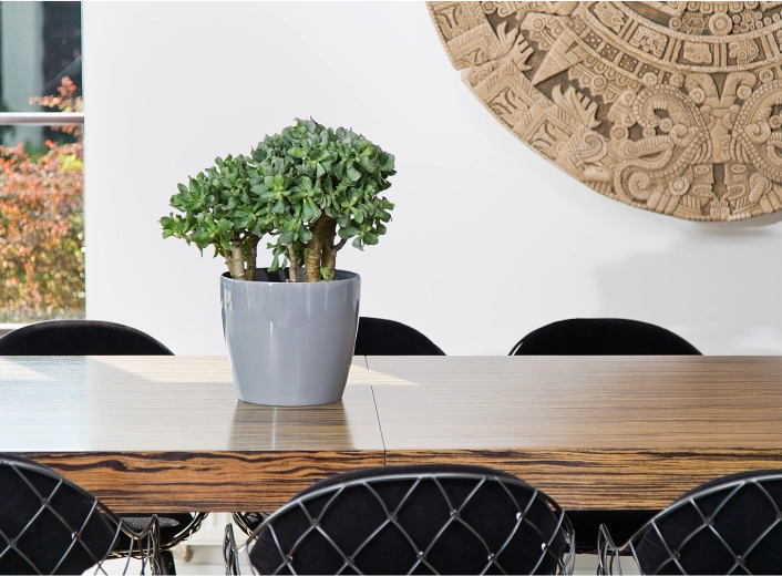 Idéal pour l’intérieur