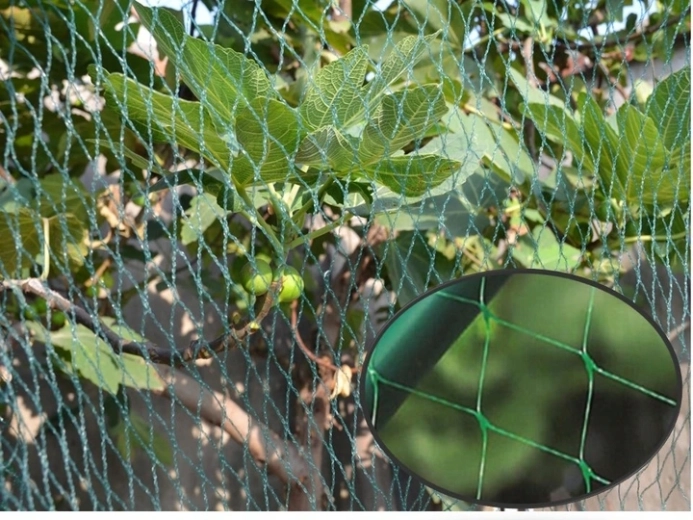 Protection discrète en vert