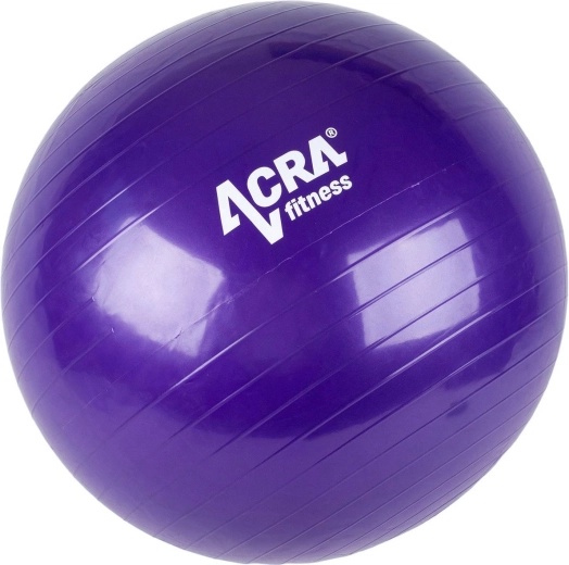 Ballon de gymnastique ACRA violet 65 cm