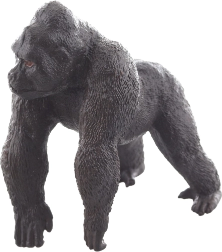 Taille idéale pour les petites mains