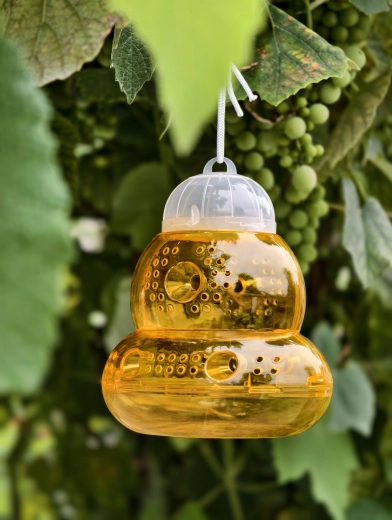 Suspension simple partout