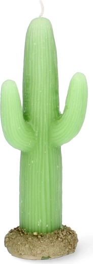 Apparence réaliste de cactus