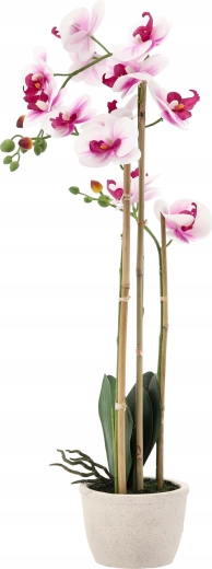 Hauteur idéale 70 cm