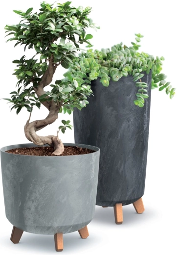 Pieds stables à effet bois