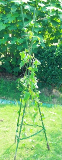 Stabilité et espace de croissance