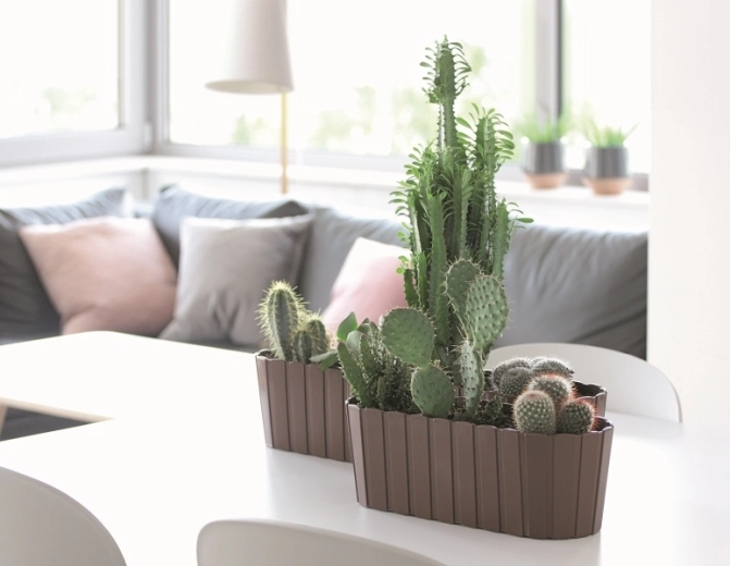 Aspect élégant de lattes en bois