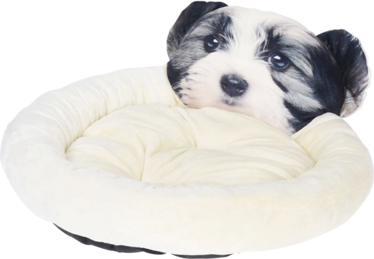 Design mignon et robustesse pratique