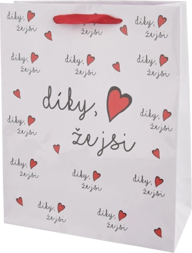 Sac cadeau en papier Merci d’être là 26 × 10 × 32 cm
