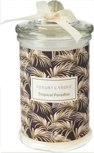 Bocal en verre stylé avec couvercle