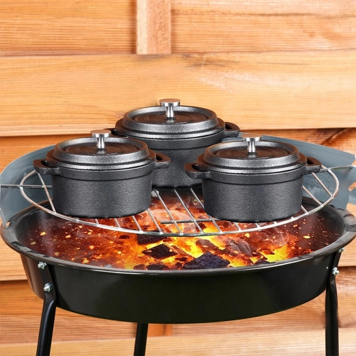 Usage polyvalent sur la plaque et au four