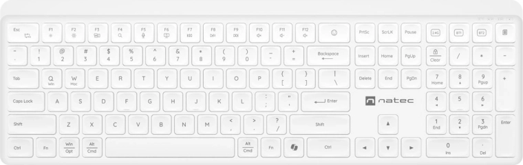 Clavier sans fil silencieux Natec Tang US blanc