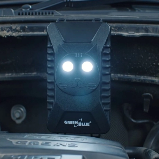 LED clignotantes