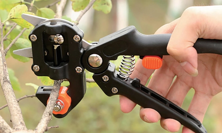 Sécateur de greffage de jardin en acier inoxydable 21 cm