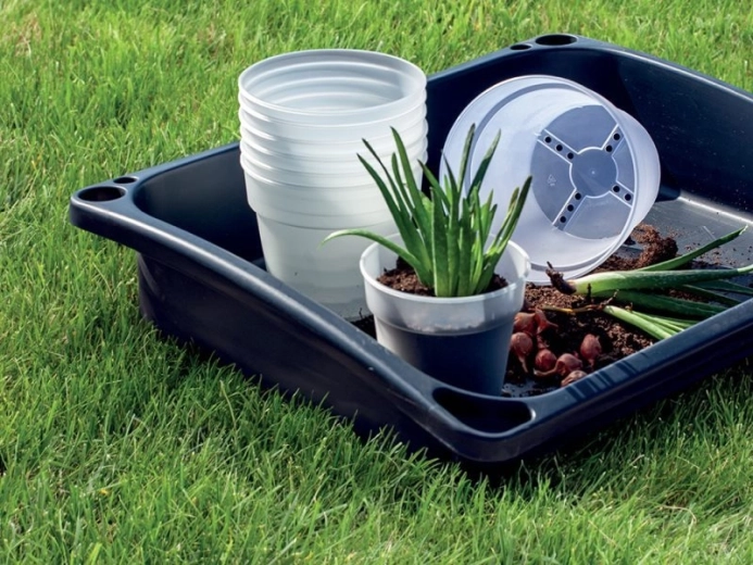 Taille pratique pour petites plantes