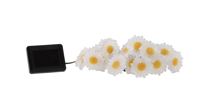 Ambiance florale enchantée