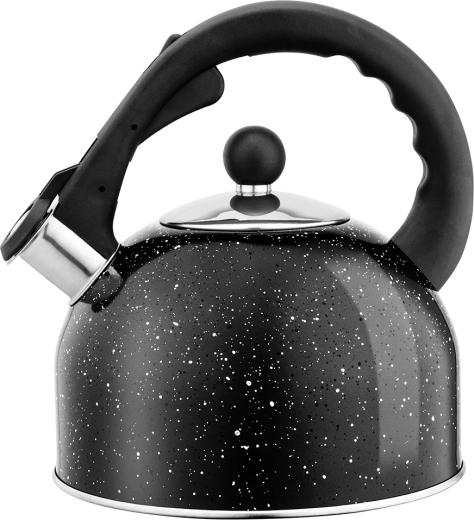 Bouilloire en inox ROCK 2,5 l pour cuisinière