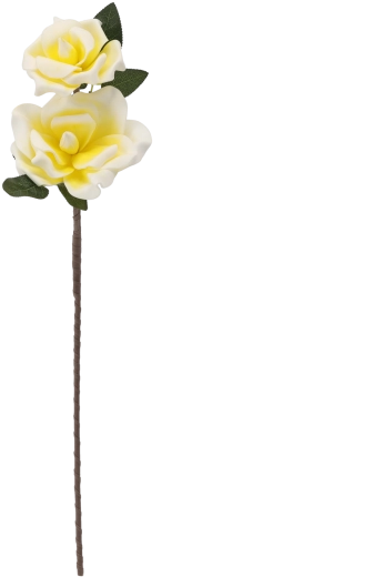 Deux fleurs sur une seule tige pour un rendu plus généreux