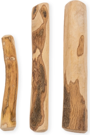 Soutien de l’hygiène dentaire