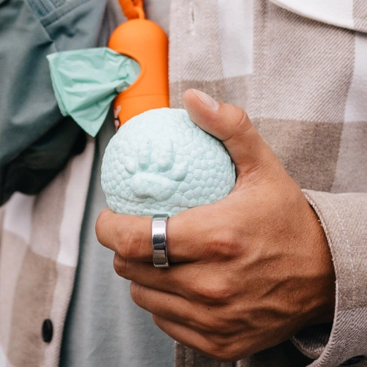 Excellente prise en main pour chiens et maîtres