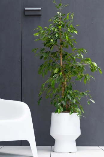 Design minimaliste pour l’intérieur