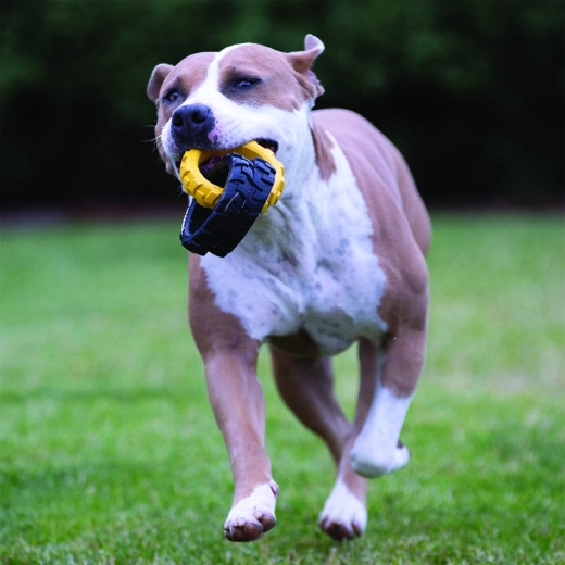 Prise sûre et meilleur contrôle