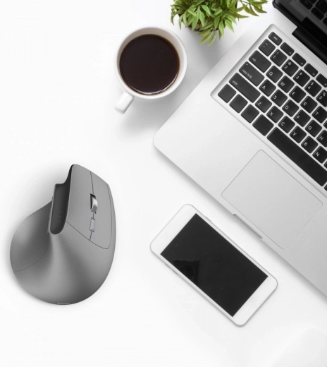 Connexion multi-appareils : 2× Bluetooth + radio