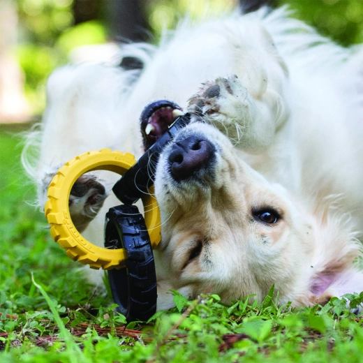 Divertissement interactif à la maison et en extérieur