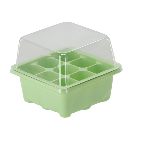 Semis organisés dans 9 cellules