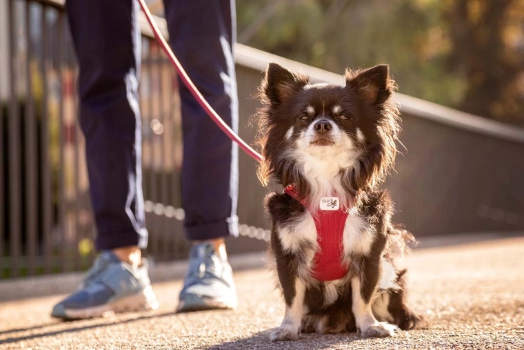 Air-Mesh respirant à effet rafraîchissant