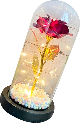 Cloche en verre protectrice