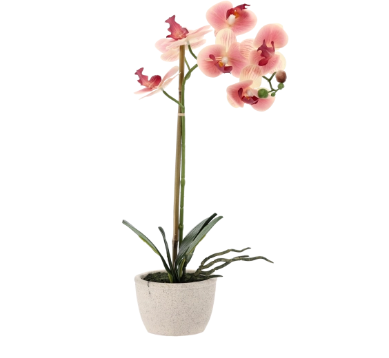 Sans entretien toute l’année