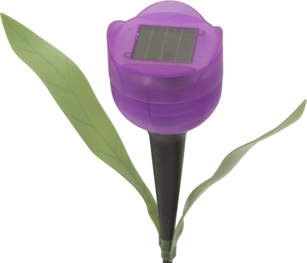 Éclairage solaire automatique