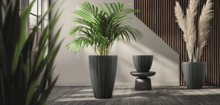 Forme haute élégante pour des plantes remarquables