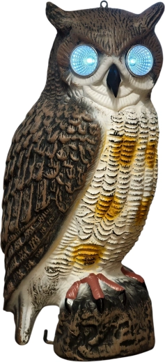 Yeux LED solaires pour une efficacité accrue