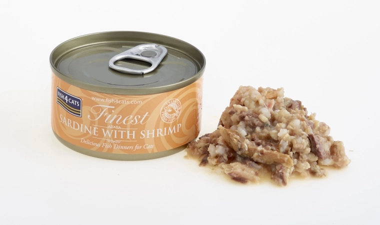 Service facile dans un bouillon savoureux