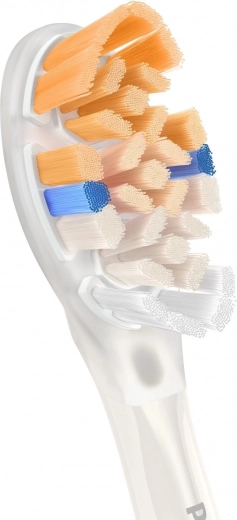 Élimination de la plaque jusqu’à 20× supérieure