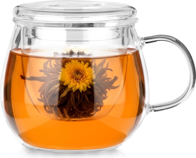 Mug en verre avec filtre et couvercle 400 ml