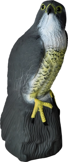 Détails réalistes pour une efficacité accrue