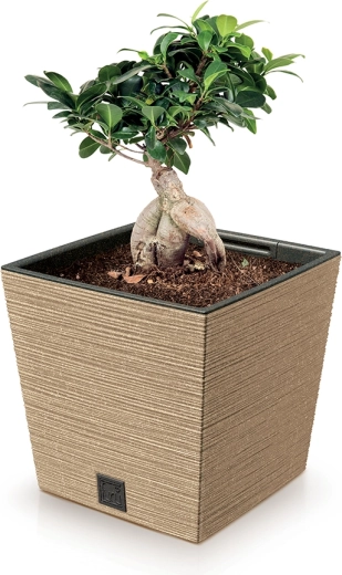 Matériau ECO léger mais solide